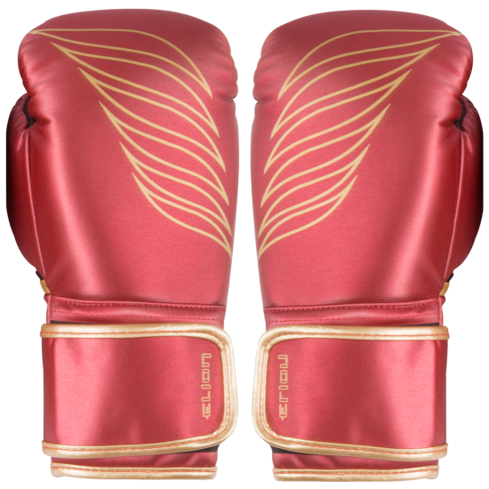 Boxing gloves ELION Wing - Red Silk