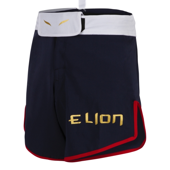 Elion MMA shorts - Tricolour